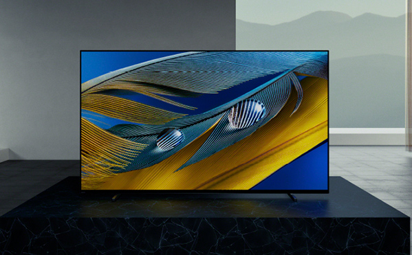 BRAVIA(ブラビア)