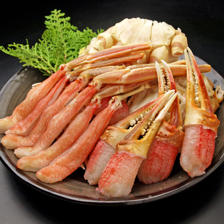 【かにしゃぶ用】生本ズワイ蟹1.3kg　カニポーション