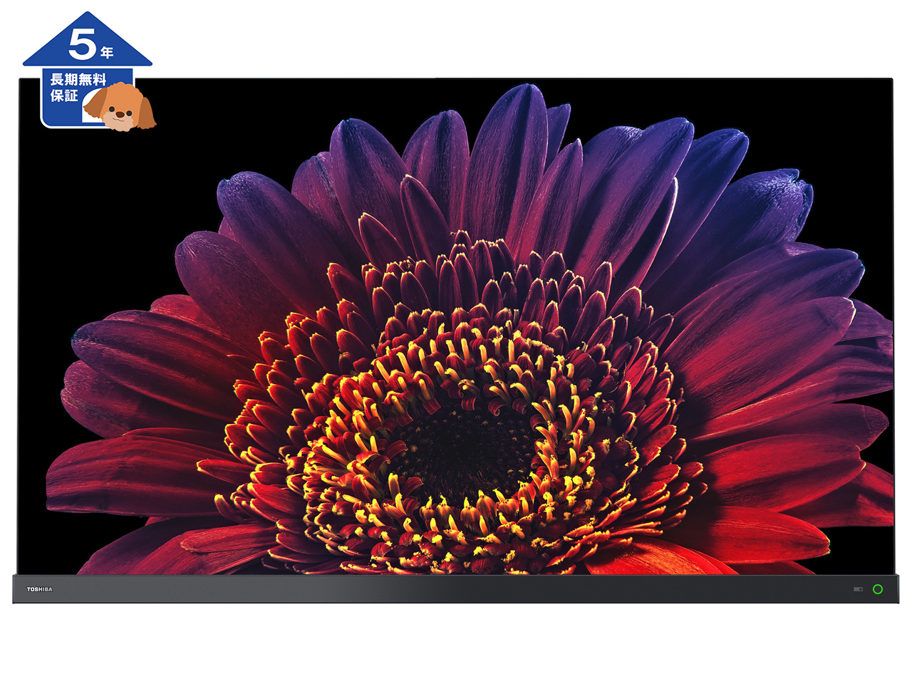 【東芝】 REGZA テレビ 4K 有機ELテレビ 55型【5年保証】