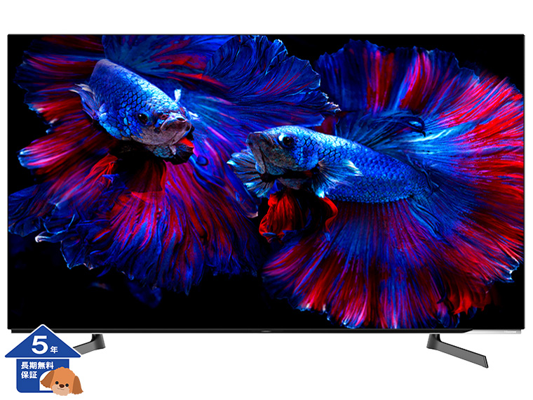 【ハイセンス】 テレビ 4K 有機ELテレビ 55型【5年保証】