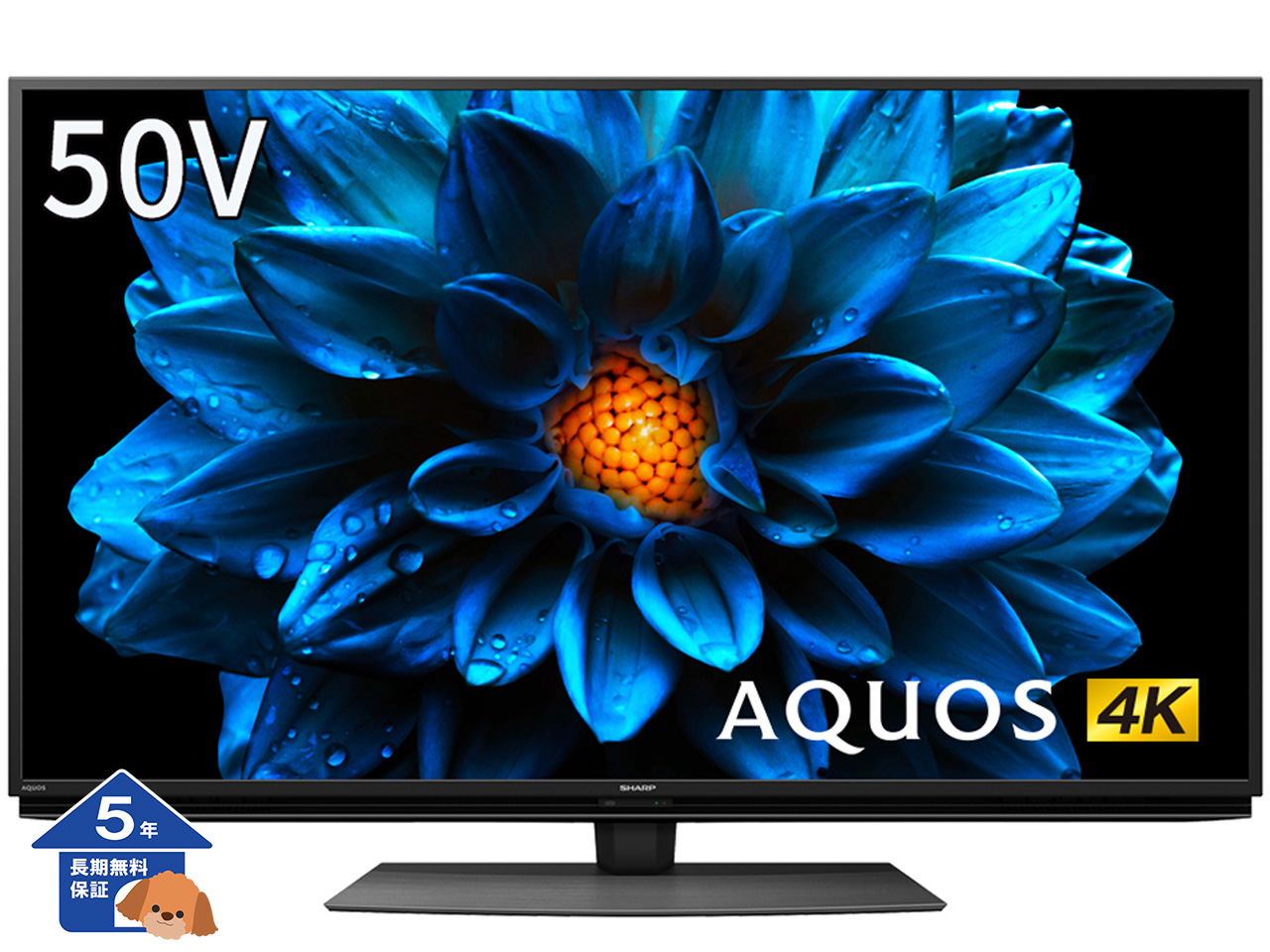 【シャープ】 AQUOS テレビ 4K液晶テレビ 50型【5年保証】