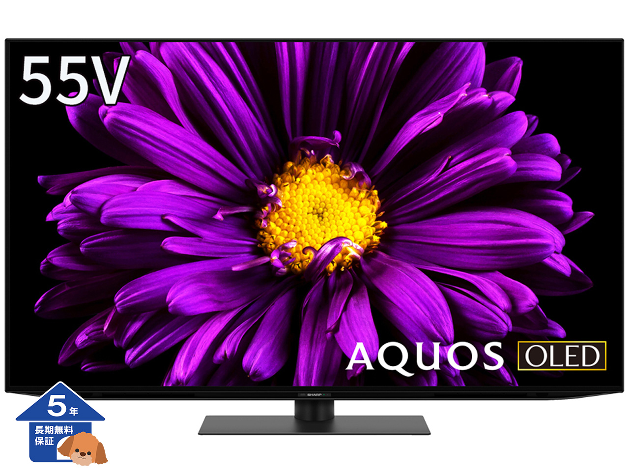 【シャープ】 AQUOS テレビ 4K有機ELテレビ 55型【5年保証】